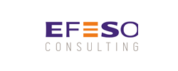 Efeso Consulting
